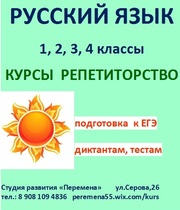 Подготовка к ВПР  русский язык  1- 4 классы